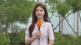 [날씨] 내일까지 전국 장맛비…전남·제주 150㎜ 이상 | 연합뉴스