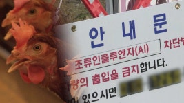가금농장 AI 김제서 세 곳 추가…총 18건 | 연합뉴스