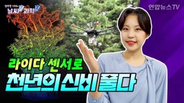 [날씨쏙과학쏙] 나무의 생장 정보, 라이다로 정확하게 확인한다! | 연합뉴스