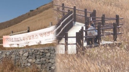 영남알프스 간월재의 억새를 지켜라…지자체, 복원 안간힘 | 연합뉴스