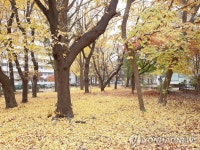 전북 흐리고 밤까지 5mm 비…낮 최고 16도 | 연합뉴스