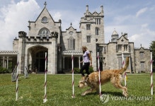 ′점프!′…미국 최고 권위 제 145회 웨스트민스터 도그쇼 | 연합뉴스