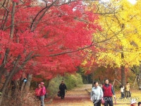 동두천소방서, 소요산 등산로에 등산목 지킴이 운영 | 연합뉴스