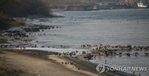 개화산~강서습지공원 생태통로 만든다 | 연합뉴스