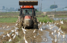 전남 친환경쌀, 부산 연제구 학교급식 선정…2년 연속 공급 | 연합뉴스