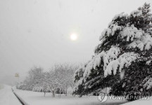 폭설로 전남 비닐하우스.축사 피해 속출(종합) | 연합뉴스