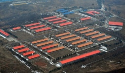 천안 성환종축장 이전하나…이전검토용역비 1억5천만원 확보 | 연합뉴스
