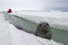 웨델해표의 손님맞이 | 연합뉴스