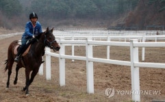 말타고 낙동강변 달려요…함안군 승마코스 개발 | 연합뉴스