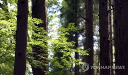 <길따라 멋따라> 물소리 벗 삼아…장성 남창계곡 트래킹 | 연합뉴스