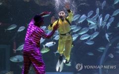 수조 안과 밖에서 공연하는 해양의 서커스 | 연합뉴스