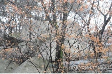 도봉산 천축사 마애사리탑 서울시 문화재자료로 지정 예고 | 연합뉴스