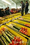 한파 이긴 꽃…졸업 시즌 앞두고 화훼공판장 활기 | 연합뉴스