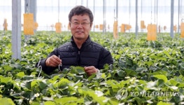 <스마트팜> 미래형 귀농 모델 엘리트 영농 | 연합뉴스