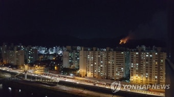 노원구 수락산 야간 화재, 소방 당국 빠른 대응이 주목 받아 - 100자