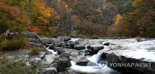 오색 물든 월성계곡 | 연합뉴스