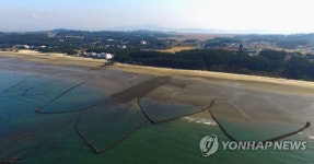 청명한 날씨 속 청포대 별주부마을 독살 | 연합뉴스