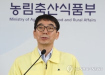 AI 확진농장서 새끼 분양받은 영암 오리농장도 AI 검출(종합) | 연합뉴스