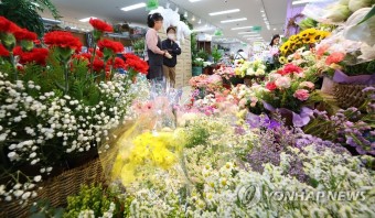 카네이션 찾아 꽃시장으로 | 연합뉴스