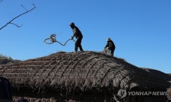 초가지붕 새 단장… 제주 서귀포 성읍민속마을 | 연합뉴스