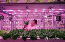 도심 공실 활용한 스마트팜 테마형 대전팜 개장 | 연합뉴스