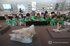 삼엽충·고래뼈…대구 달성화석박물관 임시 개관 | 연합뉴스