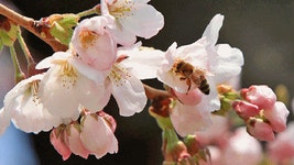 노원구-공릉2동 주민자치회 코로나19 성금 전달식 | 연합뉴스