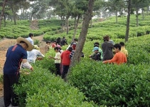 농장에서 파티 즐겨요…정읍시 소비자 초청 팜파티 호응 | 연합뉴스