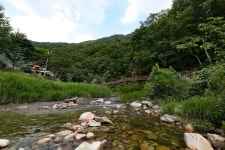 [연합이매진] 장안산 방화동 생태길 | 연합뉴스
