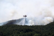 충남 태안 원북면 야산서 불…산림 1㏊ 소실 | 연합뉴스
