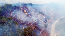 [울진삼척 산불] 주불진화에 주력…소방동원령 2호 발령(종합) | 연합뉴스