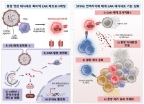 세포는 어떻게 이동하나?