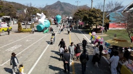 전남 강진군 사시사철 축제 도시 지향…성공 평가 | 연합뉴스