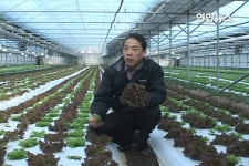 <2010 농촌현장> 류근모 장안농장 대표 인터뷰 | 연합뉴스