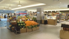 마트에 명품·백화점 1층엔 채소…고정관념을 깨라 | 연합뉴스