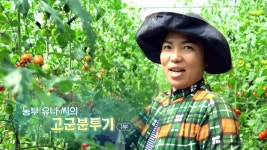 [하모니] 농부 유나 씨의 고군분투기 - 1부 | 연합뉴스