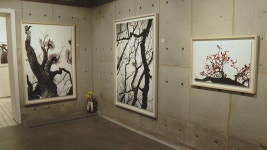 정상기 사진작가, 와우갤러리서 열번째 초대전 | 연합뉴스