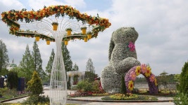 찬란한 꽃들의 향연…4년 만에 열린 고양국제꽃박람회 | 연합뉴스