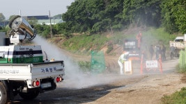 청주 한우농장서 구제역 또 발생…7건으로 늘어 | 연합뉴스