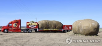 세상에서 가장 큰 감자?…美 아이다호 감자 호텔 투어 개최 | 연합뉴스