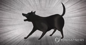 내 개가 안 물었다 재판 청구 견주, 벌금 2배 물어야 | 연합뉴스