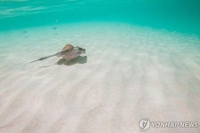 동물들의 지상낙원…생태계의 섬 에콰도르 갈라파고스 제도 | 연합뉴스