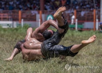 남자들의 끈적한 승부?…터키 오일 레슬링 | 연합뉴스