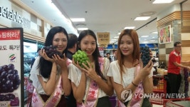 영천과일 롯데마트 전국 매장서 동시 특판 | 연합뉴스
