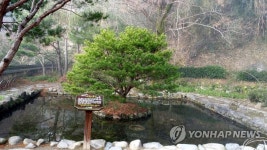 하동 최 참판댁 별당 옆 연못 | 연합뉴스