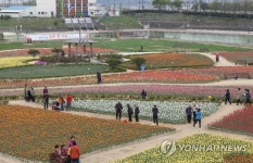 포항은 튤립 천국 | 연합뉴스