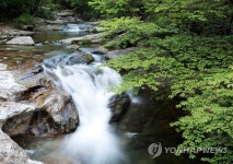 국립공원 덕유산 구천동계곡 환상의 신록 | 연합뉴스