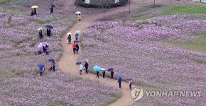 가을동화 | 연합뉴스