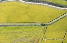 김제 황금들녘의 분주한 콤바인 | 연합뉴스