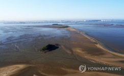 서천 유부도 갯벌 | 연합뉴스